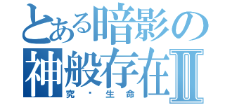 とある暗影の神般存在Ⅱ（究极生命）