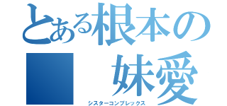 とある根本の  妹愛（  シスターコンプレックス）