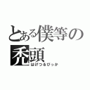 とある僕等の禿頭（はげつるぴっか）