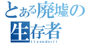 とある廃墟の生存者（ｌｌｃｏｎｄｏｒｌｌ）