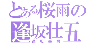 とある桜雨の逢坂壮五（逢坂夫婦）