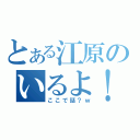 とある江原のいるよ！（ここで話？ｗ）