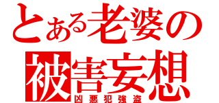 とある老婆の被害妄想（凶悪犯強盗）