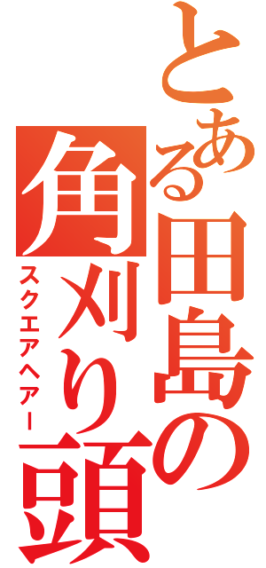 とある田島の角刈り頭（スクエアヘアー）