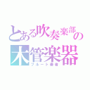 とある吹奏楽部の木管楽器（フルート奏者）