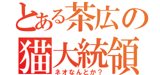 とある茶広の猫大統領（ネオなんとか？）