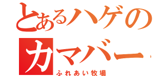 とあるハゲのカマバー遊び（ふれあい牧場）