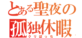 とある聖夜の孤独休暇（クリぼっち）