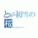 とある初雪の桜（Ｇｒａｄｕａｔｉｏｎ）