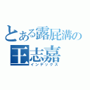 とある露屁溝の王志嘉（インデックス）