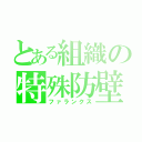 とある組織の特殊防壁（ファランクス）