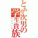 とある次男の学生貴族（ハンニート）