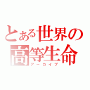 とある世界の高等生命（アーカイブ）