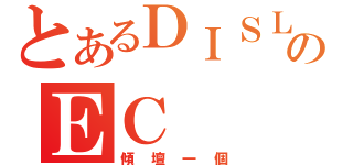 とあるＤＩＳＬＩＫＥのＥＣ（傾壇一個）