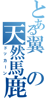 とある翼の天然馬鹿（ドッカーン）