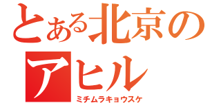 とある北京のアヒル（ミチムラキョウスケ）