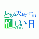 とある天然パーマの忙しい日々（マジで忙しい…）