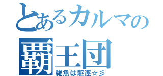 とあるカルマの覇王団（雑魚は駆逐☆彡）