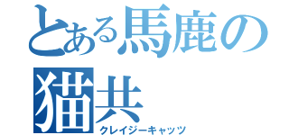 とある馬鹿の猫共（クレイジーキャッツ）