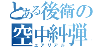 とある後衛の空中糾弾（エアリアル）