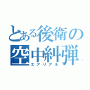 とある後衛の空中糾弾（エアリアル）