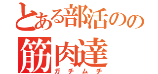 とある部活のの筋肉達（ガチムチ）