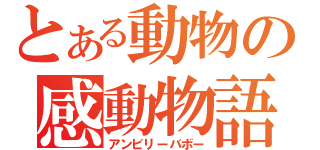 とある動物の感動物語（アンビリーバボー）