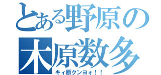 とある野原の木原数多（キィ原クンヨォ！！）