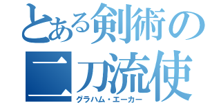 とある剣術の二刀流使（グラハム・エーカー）