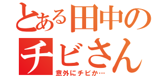 とある田中のチビさん（意外にチビか…）