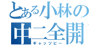 とある小林の中二全開（ギャッツビー）