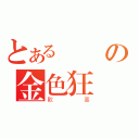 とある復國の金色狂風（歡喜）