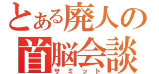 とある廃人の首脳会談（サミット）