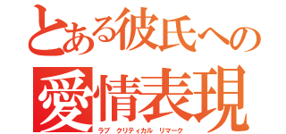 とある彼氏への愛情表現（ラブ クリティカル リマーク）