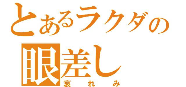 とあるラクダの眼差し（哀れみ）