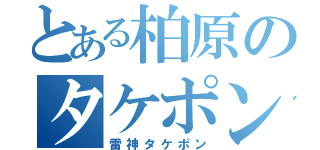 とある柏原のタケポン（雷神タケポン）