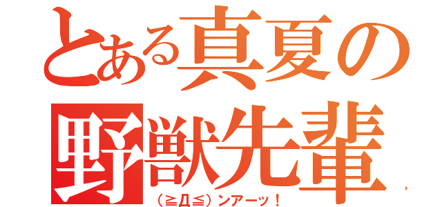 とある真夏の野獣先輩（（≧Д≦）ンアーッ！）