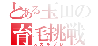 とある玉田の育毛挑戦（スカルプＤ）