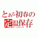 とある初春の定温保存（サーマルハンド）