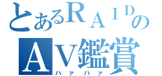 とあるＲＡＩＤのＡＶ鑑賞（ハァハァ）