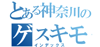 とある神奈川のゲスキモ娘（インデックス）