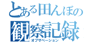 とある田んぼの観察記録（オブザベーション）