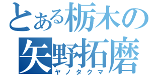 とある栃木の矢野拓磨（ヤノタクマ）