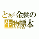 とある金髪の生物標本（ホルマリン漬け）