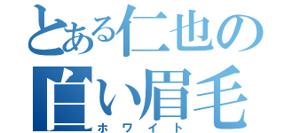 とある仁也の白い眉毛（ホワイト）