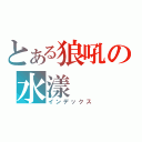 とある狼吼の水漾（インデックス）