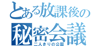 とある放課後の秘密会議（二人きりの公園）