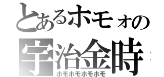 とあるホモォの宇治金時（ホモホモホモホモ）