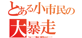 とある小市民の大暴走（うぉーー！俺は一体何なんだーー！）