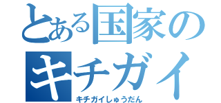 とある国家のキチガイ集団（キチガイしゅうだん）